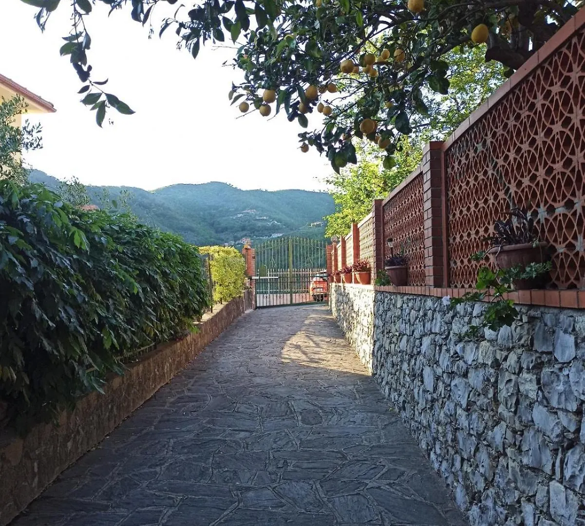 Il Glicine Cozy Appartamnent, Near Sestri Levante Between Cinque Terre E Portofino Casarza Ligure
