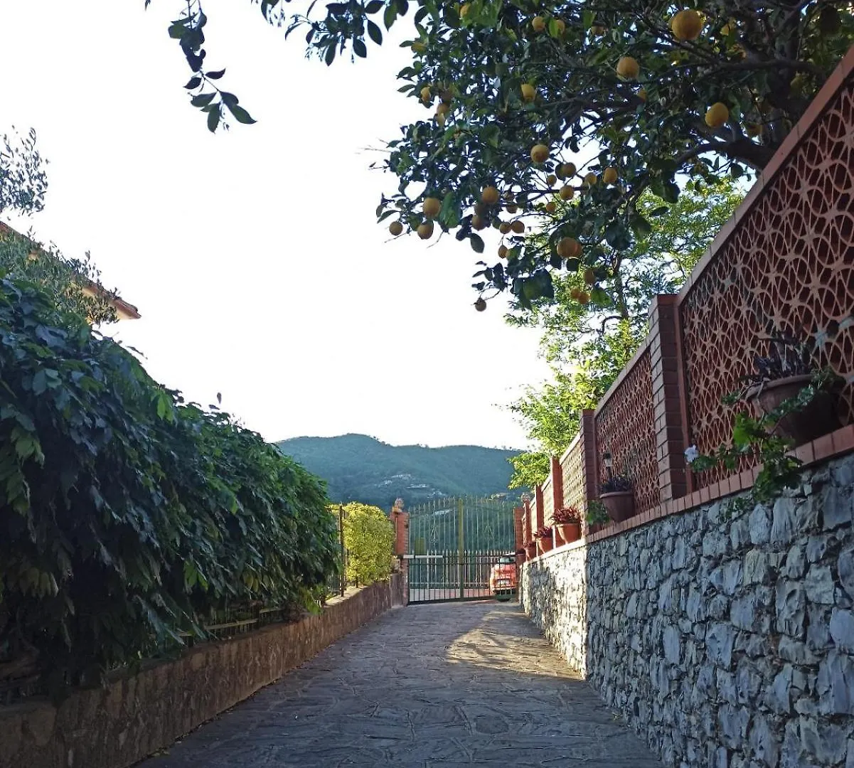 Apartment Il Glicine Cozy Appartamnent, Near Sestri Levante Between Cinque Terre E Portofino Casarza Ligure Italy