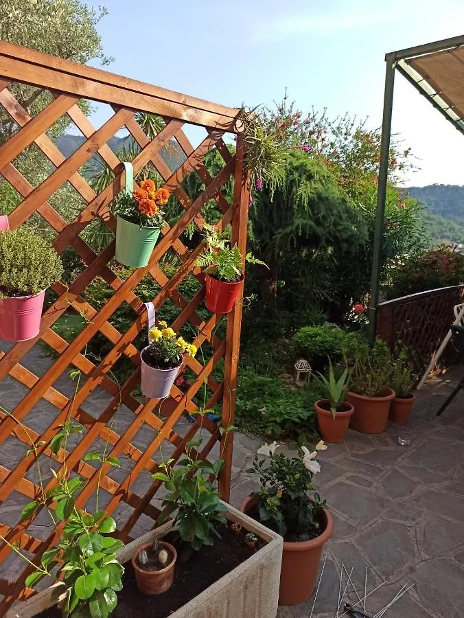 아파트 Il Glicine Cozy Appartamnent, Near Sestri Levante Between Cinque Terre E Portofino 카사르자리구레 이탈리아